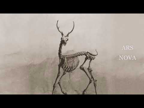 Видео: §6 Производные ступени звукоряда. Альтерация и альтерированные ступени. Знаки альтерации.