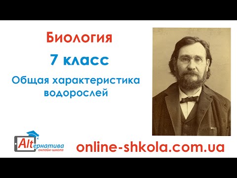 Видео: Биология. 7 класс. Общая характеристика водорослей. Онлайн-школа Альтернатива