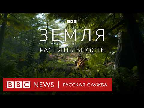 Видео: Земля | Растительность | Серия 3/5 | Документальный фильм Би-би-си