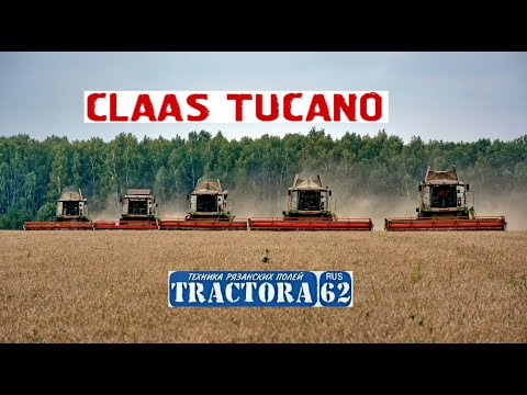 Видео: Комбайны CLAAS TUCANO 450 и 580 на уборке урожая