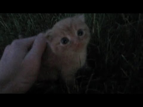 Видео: Те дни прошли, их не вернуть - Зал ожидания