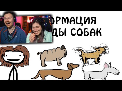 Видео: Деформация породы собак | РЕАКЦИЯ на Академия Сэма О'Нэллы (Озвучка Broccoli)