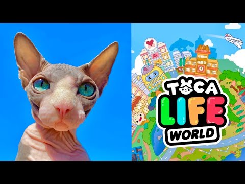 Видео: Кот Миллион стал МИЛЛИОНЕРОМ в Тока Бока 😻