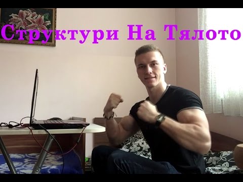 Видео: Ектоморф/Ендоморф/Мезоморф - Какво Трябва Да Знаем За Тях?