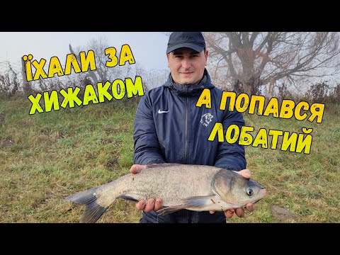 Видео: НЕЗВИЧНА РИБОЛОВЛЯ, ТОННИ РИБИ У МАЛЕНЬКІЙ ВОДОЙМІ