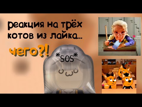 Видео: РЕАКЦИЯ НА ТРЁХ КОТОВ ИЗ ЛАЙКА |2часть| *училка пa₱иT с котятами?! *#роблокс