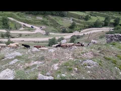 Видео: Гуниб
