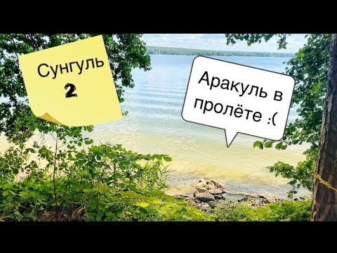 Видео: оз. Аракуль, не смогли встать с палаткой. Сунгуль часть 2