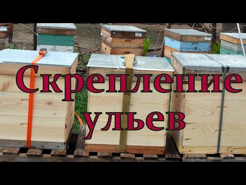 Видео: Скрепление ульев для транспортировки