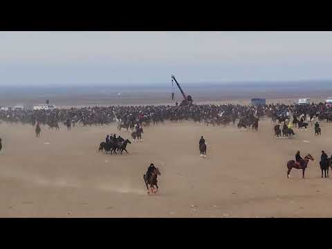 Видео: $2000 доллр аталды шардара көкпар 20.11.2025