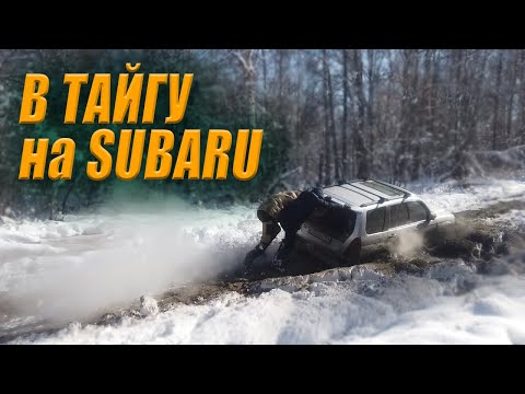 Видео: На SUBARU по лесовозным дорогам