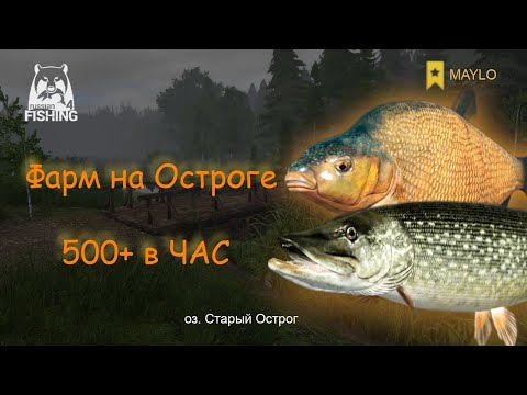 Видео: Гайд, как много фармить на оз. Старый Острог | Русская Рыбалка 4 | РР4 MAYLO