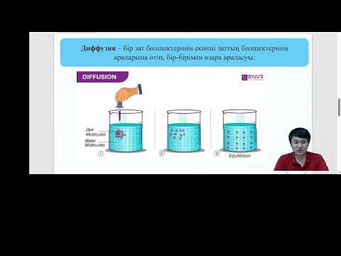 Видео: Жылулық қозғалыс, броундық қозғалыс, диффузия