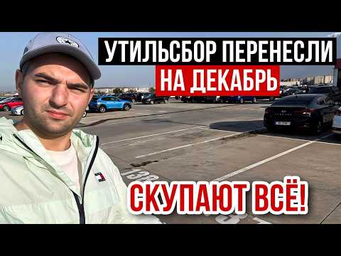 Видео: Авто из Грузии Октябрь 2025: скупают ВСЁ!