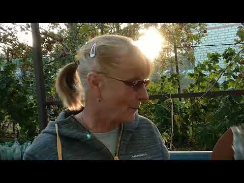 Видео: Розы. Посылка с розами из питомника Мери Роуз.