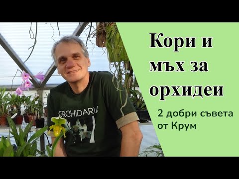 Видео: Кори и мъх - 2 добри съвета от Крум