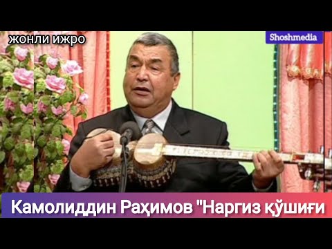 Видео: Камолиддин Раҳимов "Наргиз қўшиғи жонли ижрода