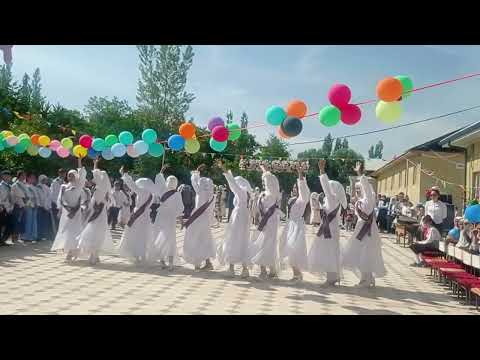 Видео: 25.05.24. 9-б. Бий