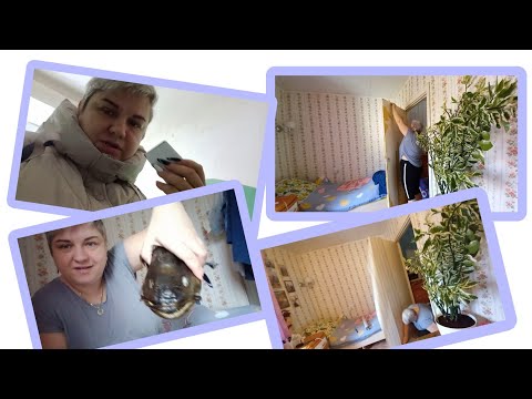 Видео: Vlog//Обновила дверь/Что за монстр 🫣//