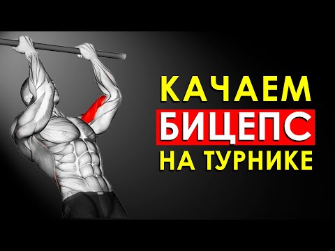 Видео: Как Правильно Накачать Бицепс на Турнике