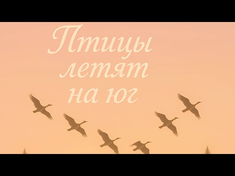 Видео: Alexandr Eriomenco - Птицы Летят На Юг (feat. Vitalia Eriomenco) | Official Single
