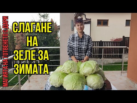 Видео: Кисело зеле за зимата - моята рецепта, cabbage for winter, Kohl für den Winter, kışlık lahana