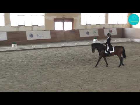 Видео: Кирьянова Олеся и Vincent Raspin. Командный Приз. 62,299%. Алматы. 19-10-25