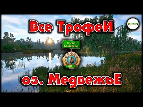 Видео: РУССКАЯ РЫБАЛКА 4 (RUSSIAN FISHING 4) - ВСЕ ТРОФЕИ. ОЗЕРО МЕДВЕЖЬЕ.