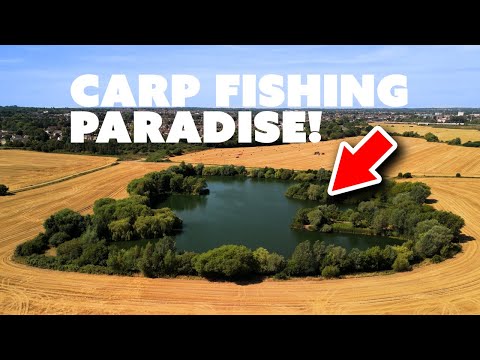 Видео: Рай для ловли карпа! Дэйв Леви берётся за «Мельницу» | Mainline Baits Carp Fishing TV