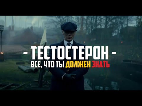 Видео: ТЕСТОСТЕРОН: ВСЁ,ЧТО ТЫ ДОЛЖЕН ЗНАТЬ,ЧТОБЫ СТАТЬ СИЛЬНЕЕ