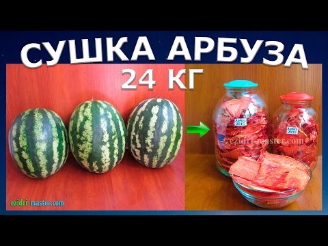 Видео: Сушка арбуза – 24 кг