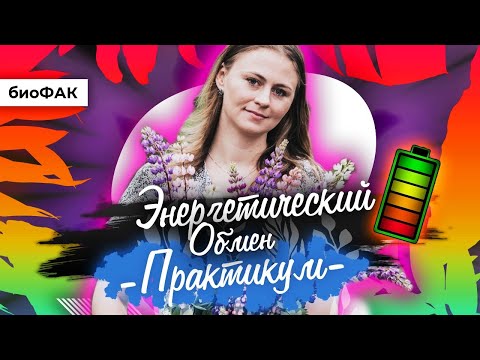 Видео: Энергетический обмен. Практикум | ЕГЭ по биологии | БиоФАК