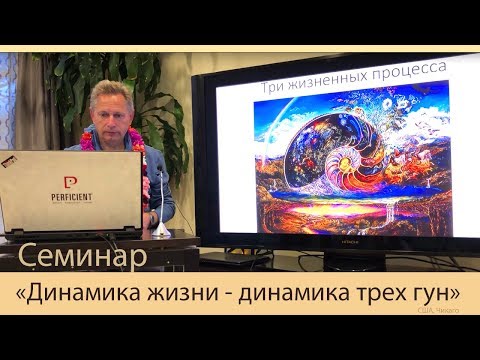 Видео: Семинар «Динамика жизни - динамика трех гун» (Тушкин, США, Чикаго)