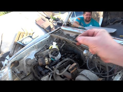 Видео: Как мы с Господином ВОЛГУ хорошую убили, а потом документы нашли😂😂😂