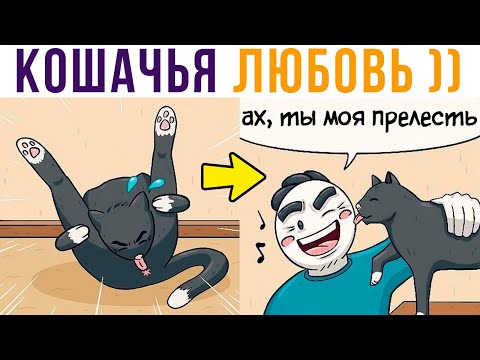 Видео: Комиксы. КОШАЧЬЯ ЛЮБОВЬ, ахахах))) | Мемозг 692