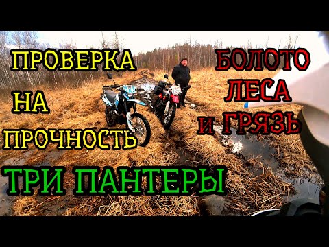 Видео: Эндурим на трёх китайцах. Мощная обкатка пантер. Racer Panther 300