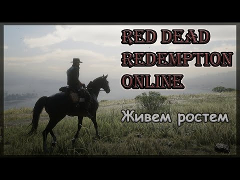 Видео: RDR Online. Нужно больше золота и баксов. #7