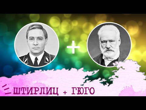 Видео: Штирлиц (ЛСЭ, ESTJ) + Гюго (ЭСЭ, ESFJ), анализ отношений