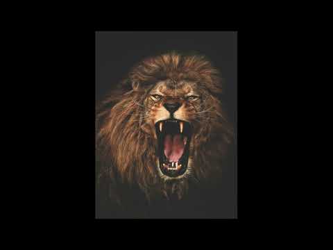 Видео: ALEX&RUS - Дикая львица [SLOWED + REVERB]