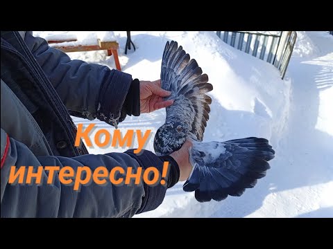 Видео: Кто приобретёт,тот не пожалеет!