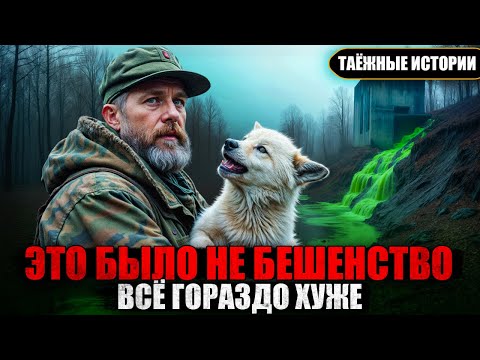 Видео: Зараженные ВОЛКИ? ЧТО Привело к Эпидемии УЖАСА В ТАЙГЕ? | Таёжные истории