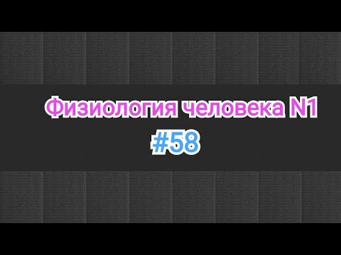 Видео: Физиология крови. Резус фактор. Резус несовместимость  мать- плод. Наследование группы кровы.