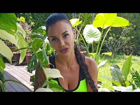 Видео: 2 сезон. Пів року утримання рослин в умовах природи Тайланду. Серія #2