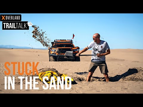 Видео: Выберись из песка | Самовосстановление в дюнах