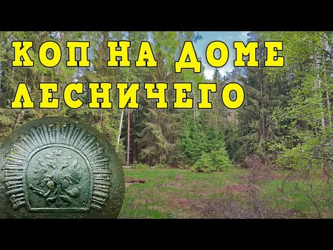Видео: Коп в лесу на доме лесничего. Продолжение поисков!