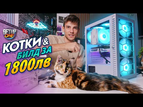 Видео: 🎮GAMING PC за 1800ЛВ? - Как изглежда едно бюджетно PC през 2024