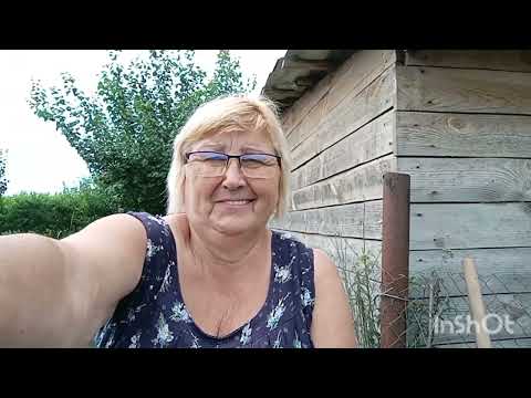 Видео: Наш погріб з закрутками# викопала картоплі# продала персики 🍑