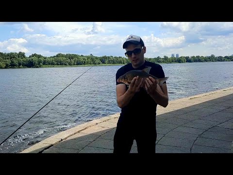 Видео: ЧУДОВІ ЛЯЩІ В ЦЕНТРІ КИЄВА В ДЕНЬ🎣🐟🌱🇺🇦