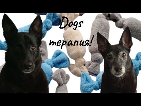 Видео: Готовим печенья и обсуждаем истории о которых сложно молчать!