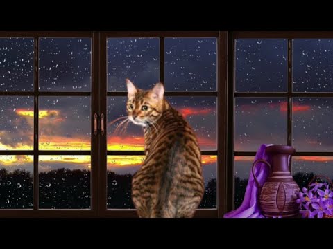 Видео: "Грусть". Мистика.